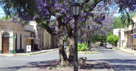 Los barrios de Chascomús