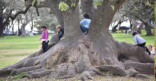 Parque de los Libres del Sur