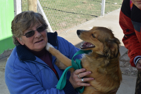 MÁS DE 100 MASCOTAS YA FUERON CASTRADAS DE MANERA GRATUITA EN EL QUIRÓFANO MÓVIL 