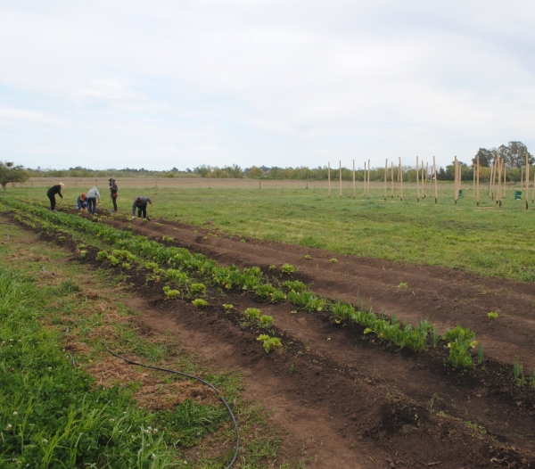 LA MUNICIPALIDAD ACOMPAÑA PROYECTOS PRODUCTIVOS QUE CUIDAN EL AMBIENTE