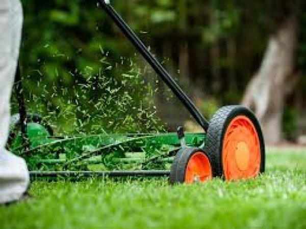 Mantener el pasto corto es esencial para una ciudad más limpia y saludable