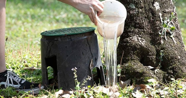 Luego de las lluvias, se debe evitar la propagación del mosquito que transmite el dengue