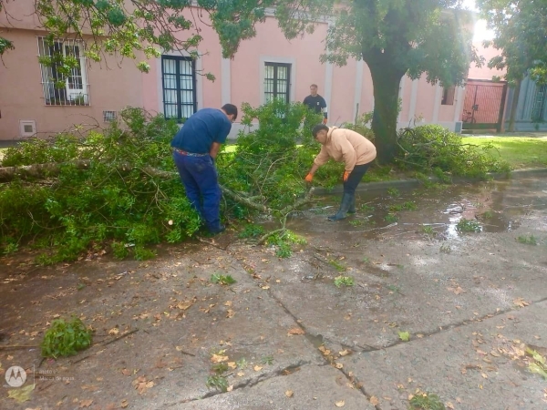 TRAS LA TORMENTA DE LA MAÑANA PERSONAL MUNICIPAL DESPLEGÓ UN AMPLIO OPERATIVO EN DISTINTAS ZONAS AFECTADAS