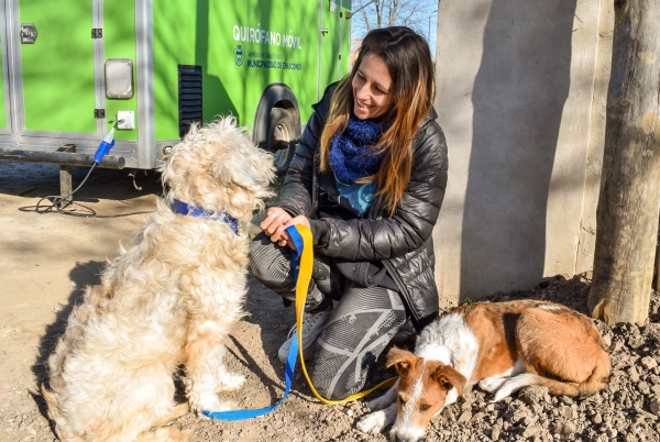 ESTE SÁBADO SE REALIZARÁ EL FESTIVAL DE MASCOTAS EN EL PARQUE LIBRES DEL SUR