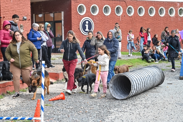 EXITOSO FESTIVAL DE MASCOTAS DE CHASCOMÚS