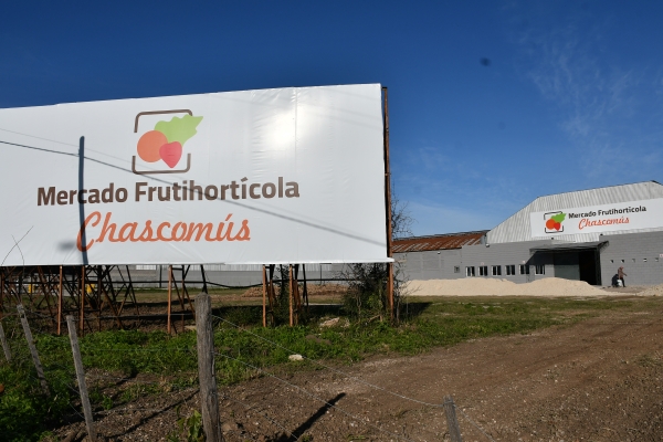 EL MERCADO FRUTIHORTÍCOLA MAYORISTA DE CHASCOMÚS ABRE SUS PUERTAS EL PRÓXIMO LUNES