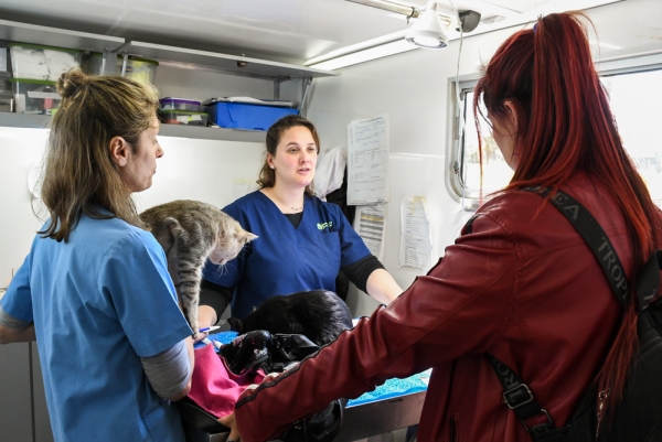 LA SEMANA PRÓXIMA SE ENTREGARÁN TURNOS PARA ESTERILIZACIÓN DE MASCOTAS 