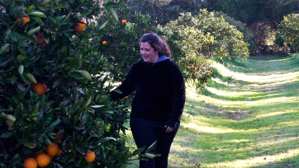  Frutas de estación: Un producto local, sano, ecológico y seguro