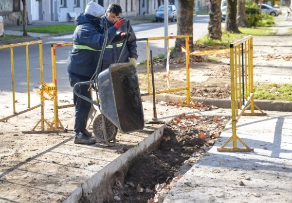 Concluyeron las tareas de reparación de la red de agua en calle Alvear