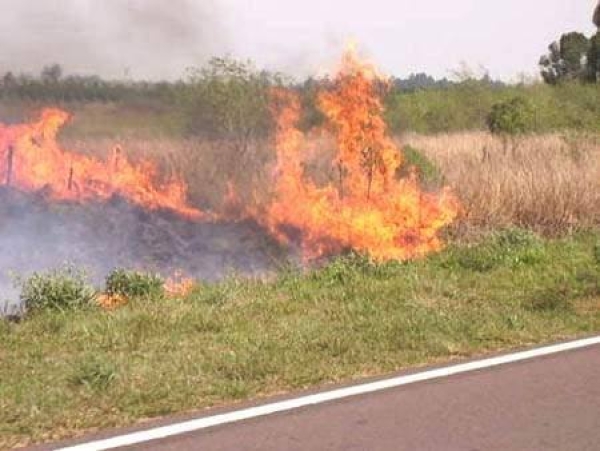 Con el calor aumenta el riesgo de incendio en espacios verdes