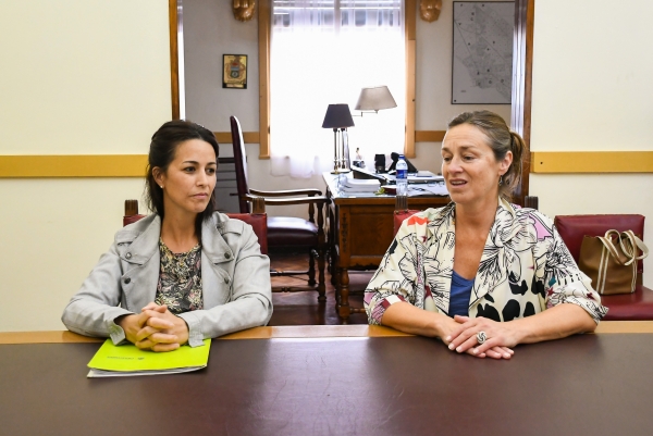 Presentación del plan de trabajo del área de Análisis y Promoción Securitaria