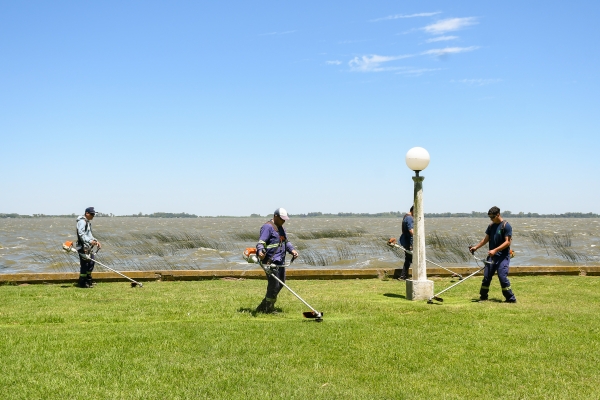 Tareas de limpieza y mantenimiento del espacio público