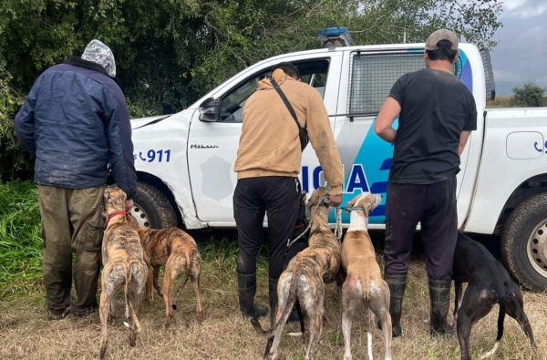 Cazadores ilegales fueron detectados en distintos operativos en zonas rurales