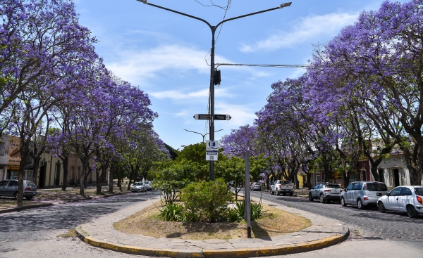 Más verde, más beneficios