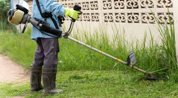 Propietarios y frentistas deben mantener el pasto corto en terrenos y espacios verdes