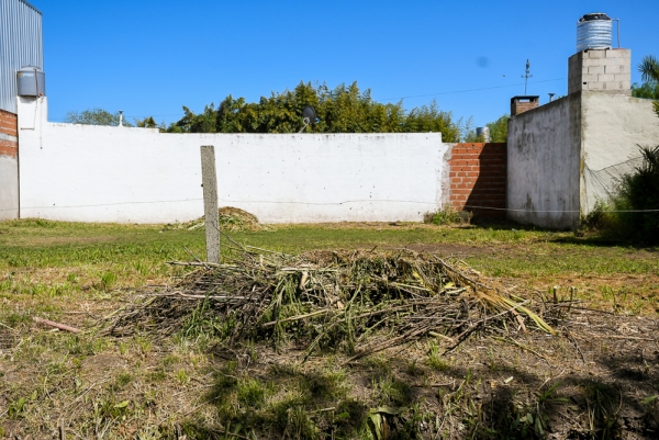 La limpieza, una herramienta clave para prevenir enfermedades