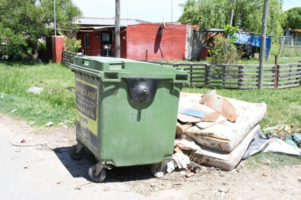 Prevenir es cuidarnos: Hantavirus, dengue y el rol de una ciudad limpia