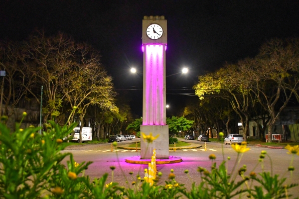 Octubre Rosa: la importancia de los controles y la detección temprana