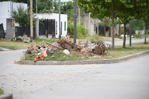 Tareas de limpieza y saneamiento en los barrios Los Sauces, Obispado y San Luis