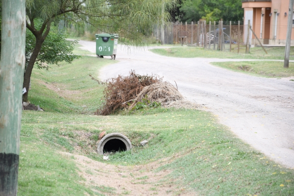 Cómo desechar correctamente las ramas y producido del corte de pasto