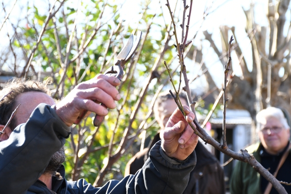 Se realizó el taller de poda de árboles frutales