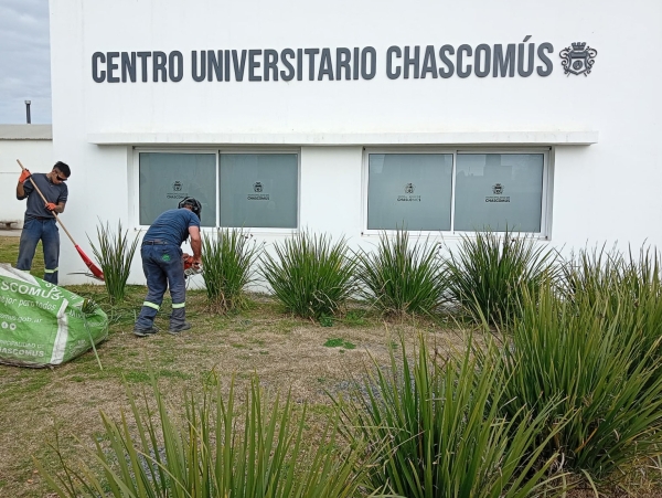 La Municipalidad continúa ampliando el arbolado urbano