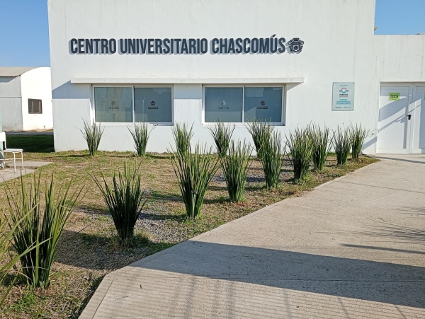La Municipalidad continúa ampliando el arbolado urbano