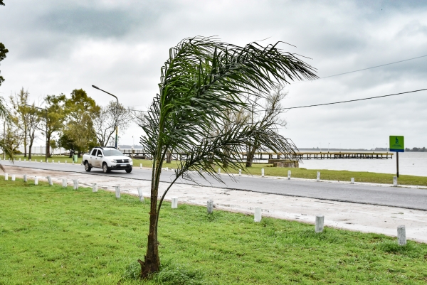 Prevención y acción: cómo prepararse ante nuevas tormentas