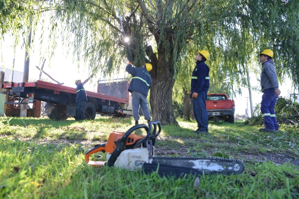 Los permisos de poda se recibirán hasta el 21 de agosto