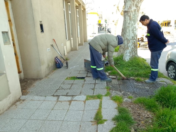 Guardias municipales: una red que funciona las 24 horas para responder ante emergencias